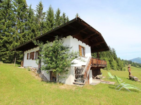 Sunlit Chalet near Ski Area in Hopfgarten im Brixental